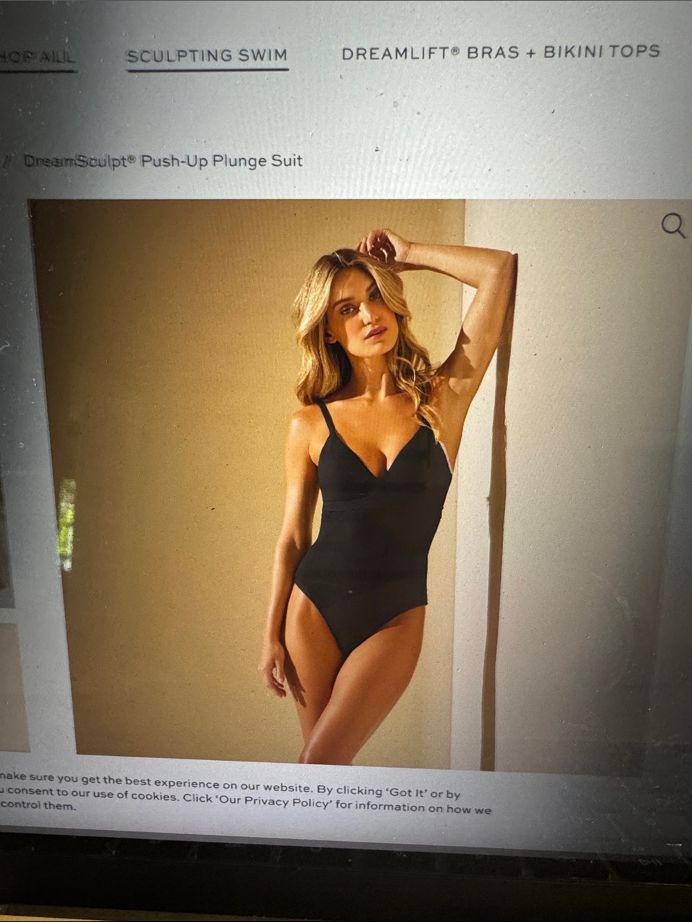 DreamSculpt Push-Up Plunge One-Piece Swimsuit - Black